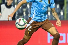 KAIYUN-德罗巴新星高光表现表现惊艳，瑞士队未来可期！的简单介绍